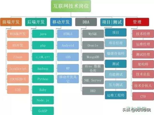 互联网八大核心技术岗位全景解析 从代码到数据的服务生态